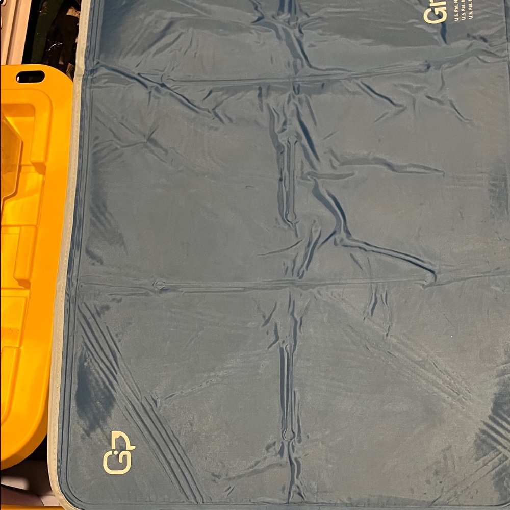 Green Pet Branded Blue Coolong Mat